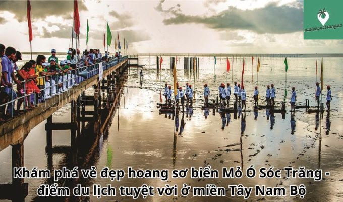 Khám phá vẻ đẹp hoang sơ biển Mỏ Ó Sóc Trăng - điểm du lịch tuyệt vời ở miền Tây Nam Bộ