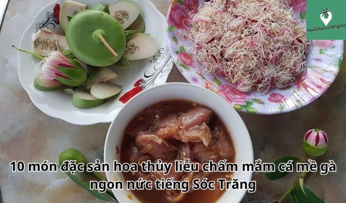 10 món đặc sản hoa thủy liễu chấm mắm cá mề gà ngon nức tiếng Sóc Trăng