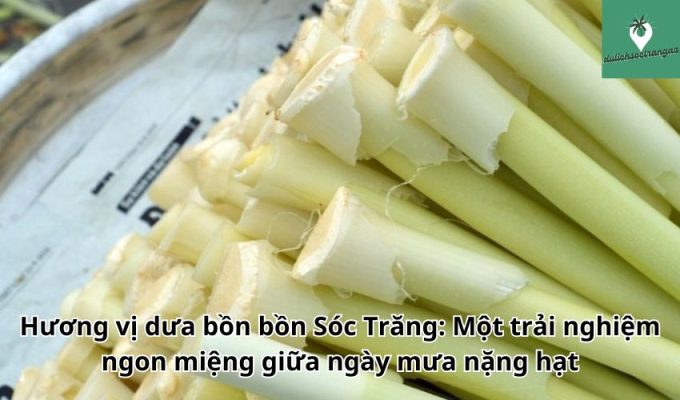 Hương vị dưa bồn bồn Sóc Trăng: Một trải nghiệm ngon miệng giữa ngày mưa nặng hạt