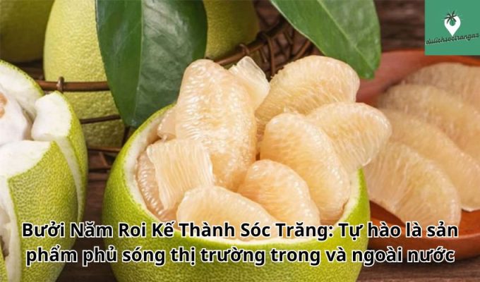 Bưởi Năm Roi Kế Thành Sóc Trăng: Tự hào là sản phẩm phủ sóng thị trường trong và ngoài nước