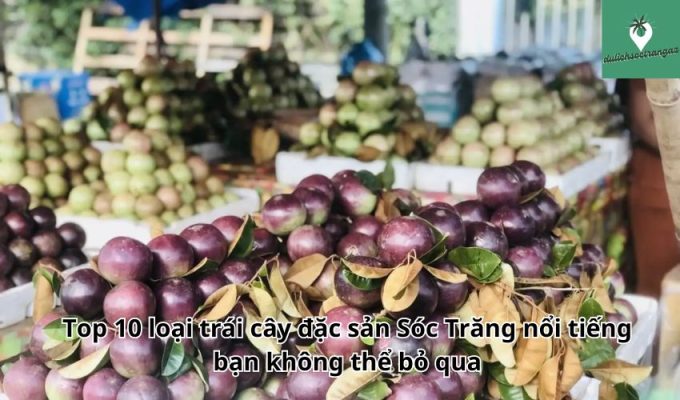 Top 10 loại trái cây đặc sản Sóc Trăng nổi tiếng bạn không thể bỏ qua