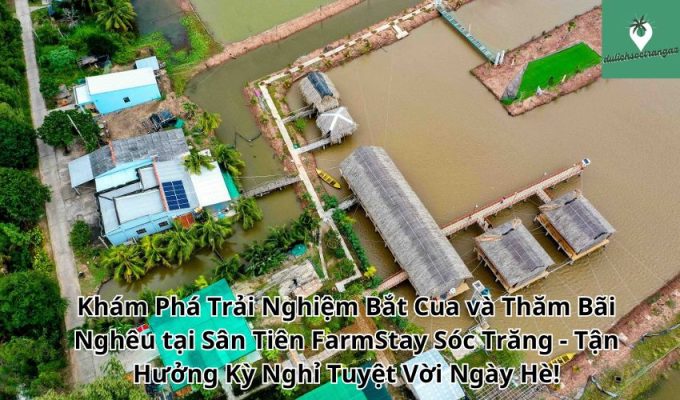 Khám Phá Trải Nghiệm Bắt Cua và Thăm Bãi Nghêu tại Sân Tiên FarmStay Sóc Trăng - Tận Hưởng Kỳ Nghỉ Tuyệt Vời Ngày Hè!