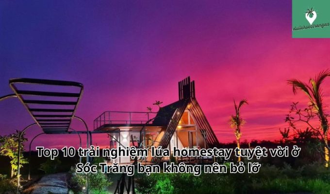 Top 10 trải nghiệm lúa homestay tuyệt vời ở Sóc Trăng bạn không nên bỏ lỡ